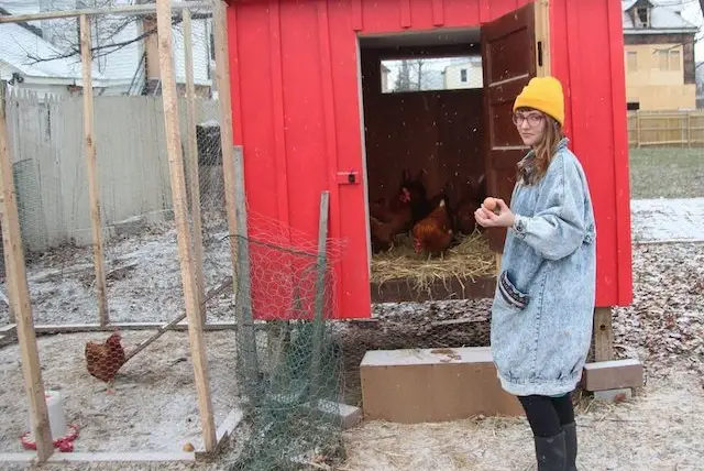 Nora Cox, 26, gathers eggs from the chicken coop in her backyard in Buffalo